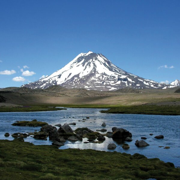 Reserva Laguna del Diamante (San Carlos)