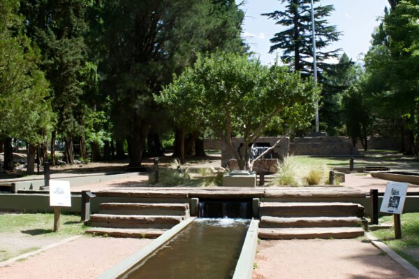 Reserva Manzano Histórico (Salida educativa y trekking) - Image 3