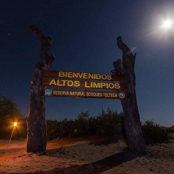 Caminata bajo la luna llena - Image 2